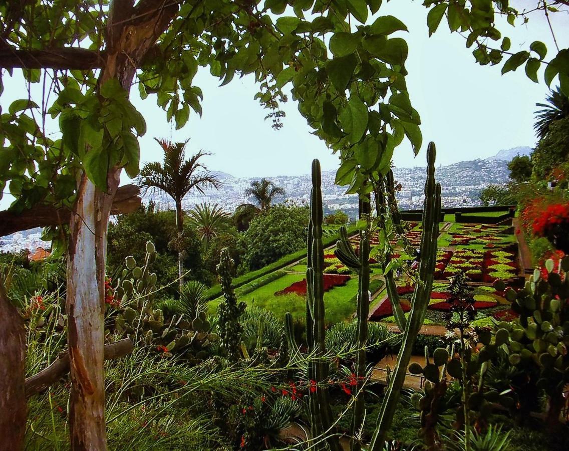 Apartment - The Historical Center Of Funchal In Alojamento Local 외부 사진