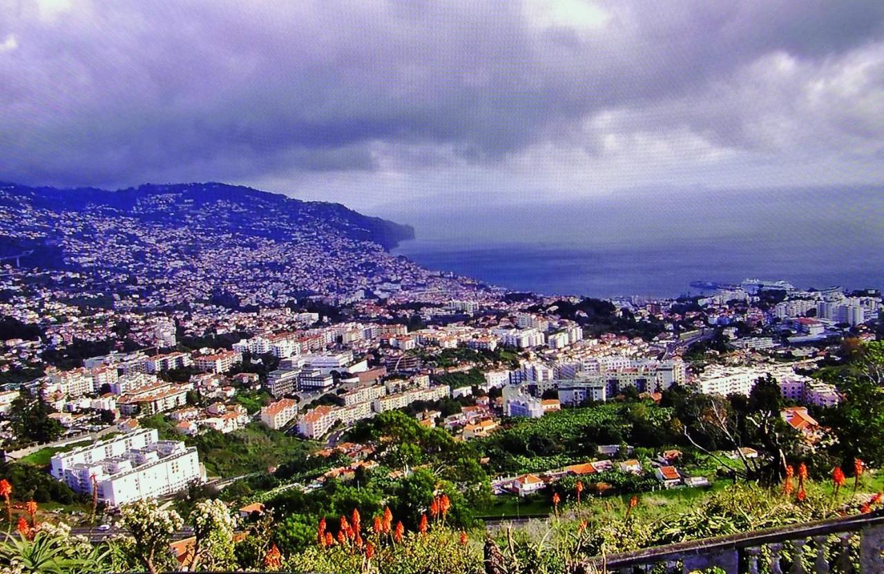 Apartment - The Historical Center Of Funchal In Alojamento Local 외부 사진