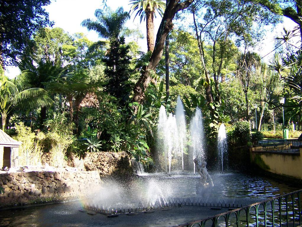 Apartment - The Historical Center Of Funchal In Alojamento Local 외부 사진