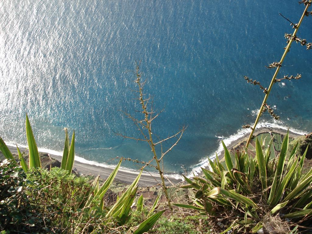 Apartment - The Historical Center Of Funchal In Alojamento Local 외부 사진