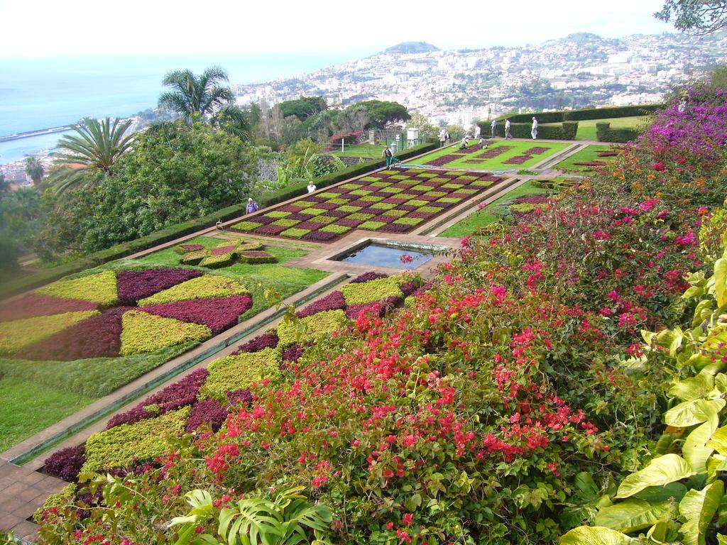 Apartment - The Historical Center Of Funchal In Alojamento Local 외부 사진