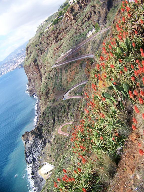 Apartment - The Historical Center Of Funchal In Alojamento Local 외부 사진