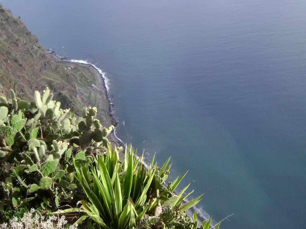 Apartment - The Historical Center Of Funchal In Alojamento Local 외부 사진